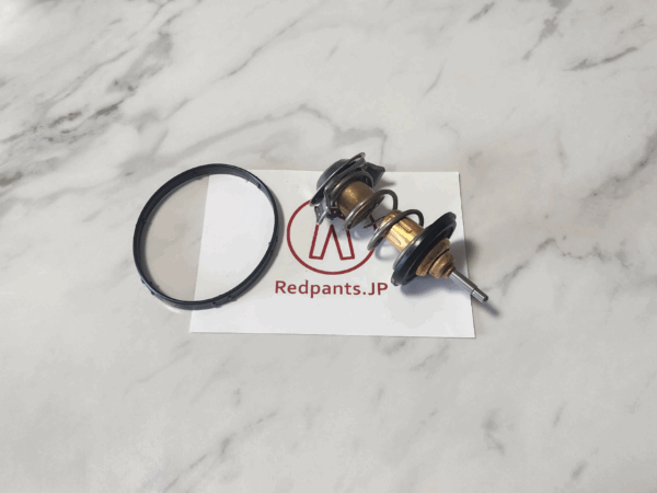 Thermostat (V8 Vantage)